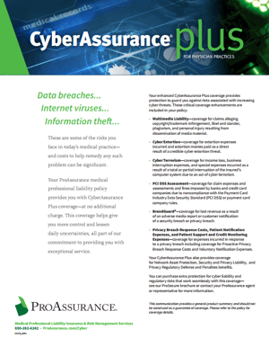 CyberAssurance Plus Flyer