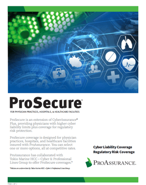 ProSecure Flyer