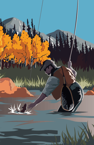 Carrier of Choice Annual Update 