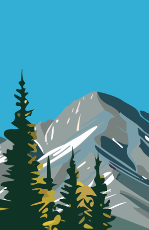 Technology Implementation at ProAssurance